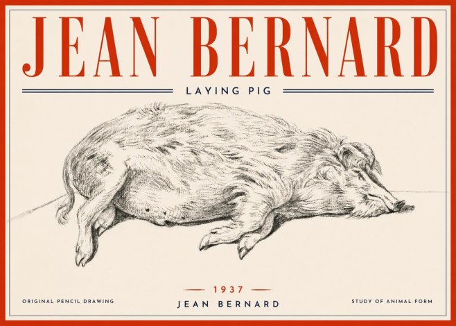Jean Bernard Laying Pig No6 - Póster