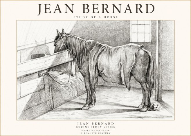 Jean Bernard Study of a Horse XIII No1 - Póster