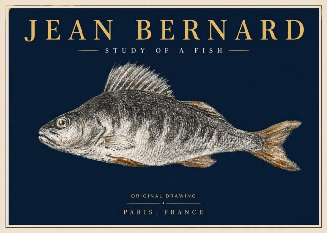 Jean Bernard Study of a Fish IV No6 - Póster