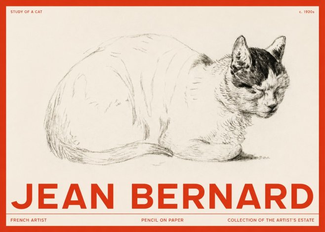 Jean Bernard Study of a Cat III No2 - Póster