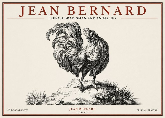 Jean Bernard Study of a Rooster No1 - Póster