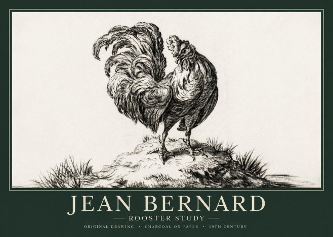 Jean Bernard Study of a Rooster No2 - Póster