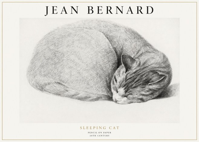 Jean Bernard Sleeping Cat IX No1 - Póster