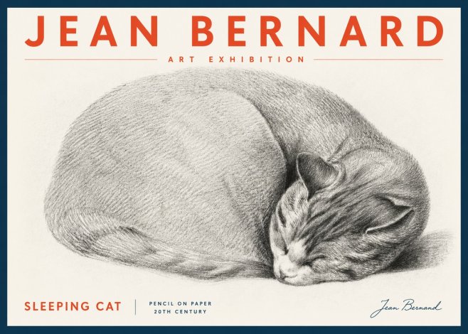 Jean Bernard Sleeping Cat IX No5 - Póster