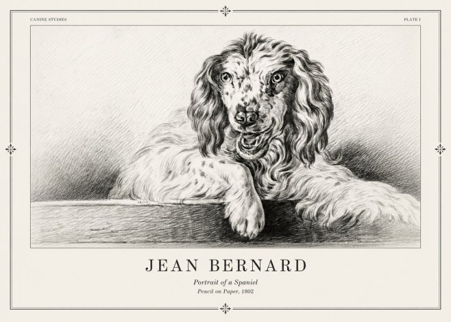 Jean Bernard Portrait of a Spaniel No2 - Póster