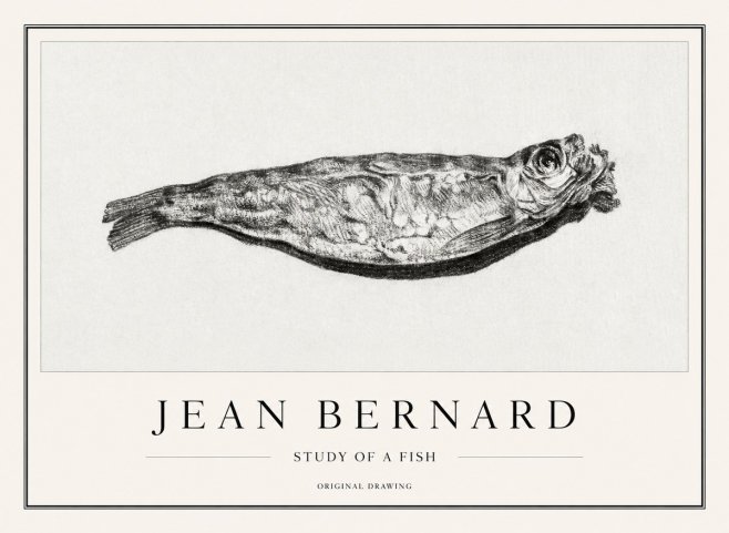 Jean Bernard Study of a Fish V No1 - Póster