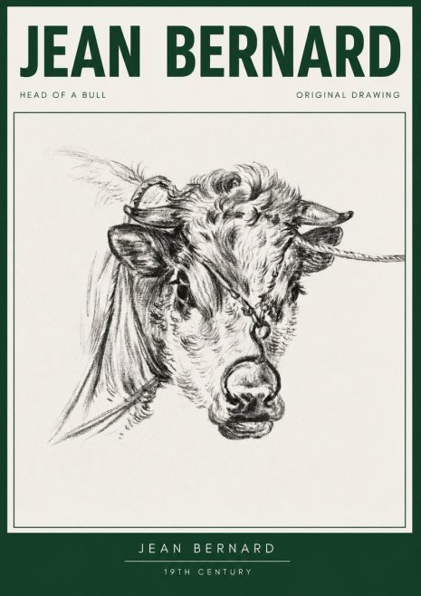 Jean Bernard Head of a Bull No3 - Póster