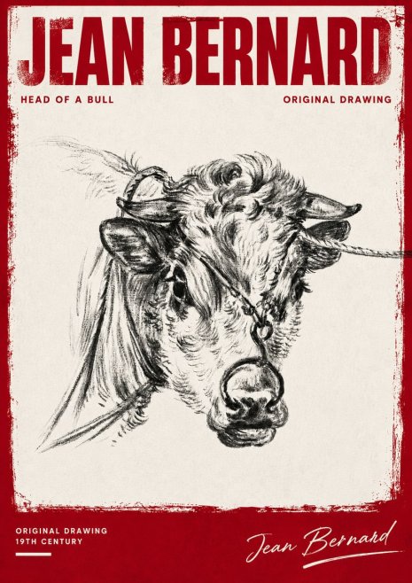 Jean Bernard Head of a Bull No4 - Póster