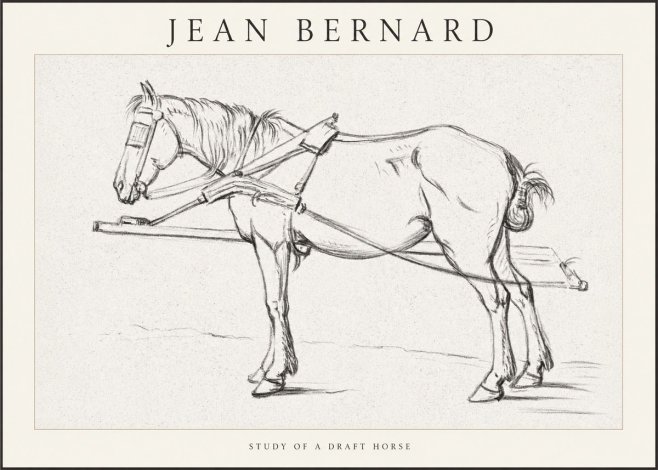 Jean Bernard Study of a Draft Horse II No1 - Póster