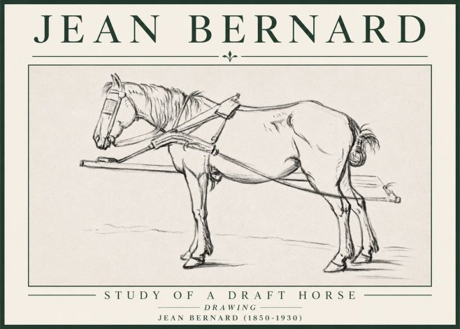 Jean Bernard Study of a Draft Horse II No4 - Póster