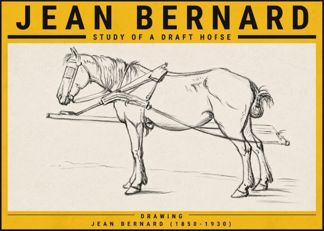 Jean Bernard Study of a Draft Horse II No5 - Póster