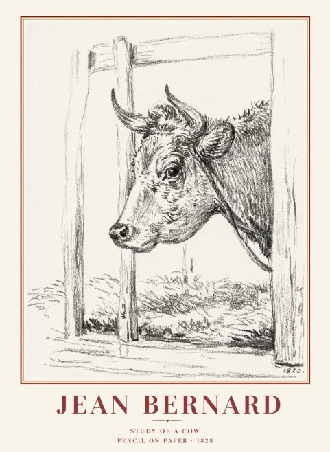 Jean Bernard Study of a Cow XVIII No1 - Póster