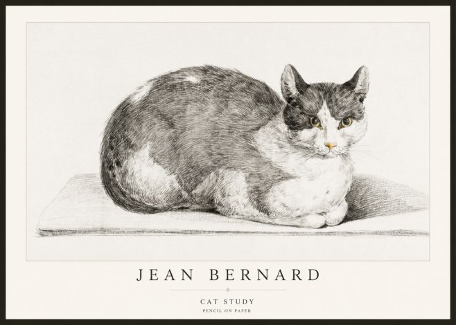 Jean Bernard Cat Study XI No2 - Póster