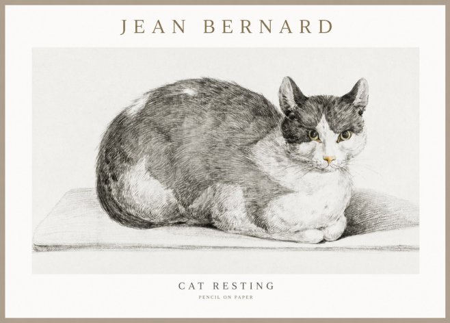 Jean Bernard Cat Study XI No3 - Póster