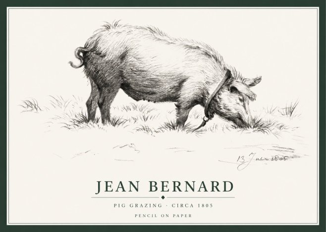 Jean Bernard Pig Grazing No1 - Póster