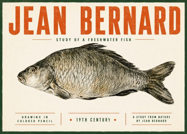 Jean Bernard Study of a Freshwater Fish No5 - Póster
