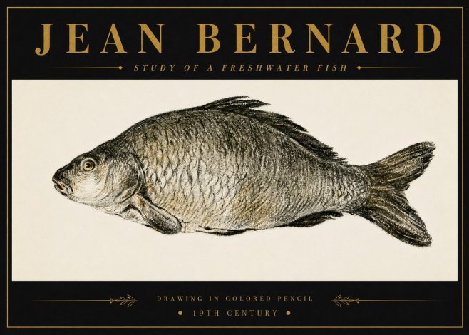 Jean Bernard Study of a Freshwater Fish No6 - Póster