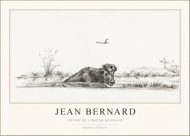 Jean Bernard Study of a Water Buffalo No1 - Póster