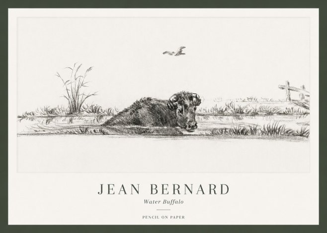 Jean Bernard Study of a Water Buffalo No2 - Póster