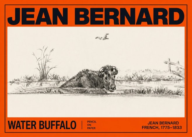 Jean Bernard Study of a Water Buffalo No3 - Póster