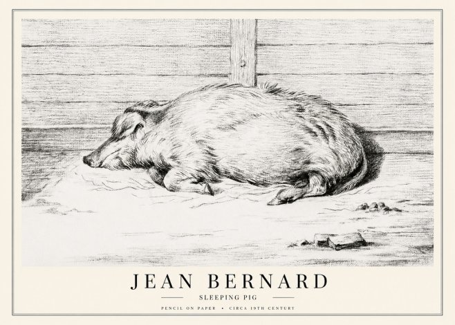 Jean Bernard Sleeping Pig I No1 - Póster