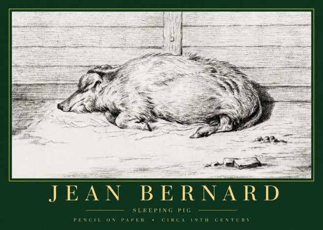 Jean Bernard Sleeping Pig I No3 - Póster