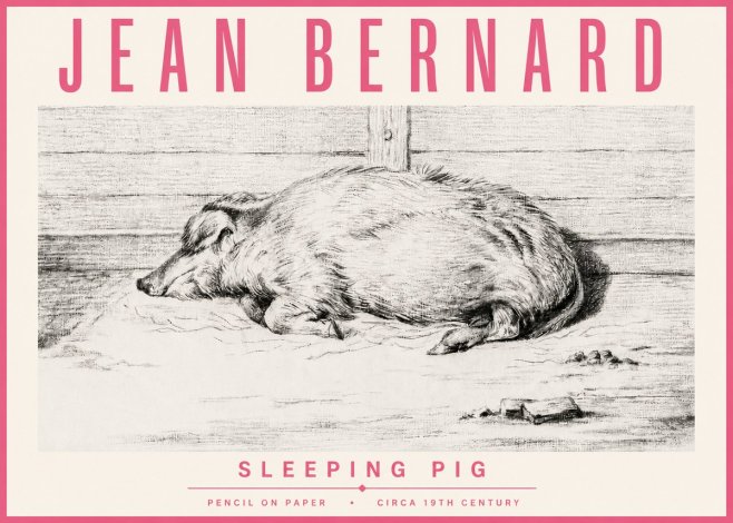 Jean Bernard Sleeping Pig I No4 - Póster