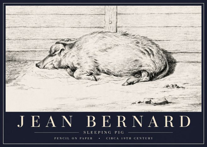 Jean Bernard Sleeping Pig I No6 - Póster