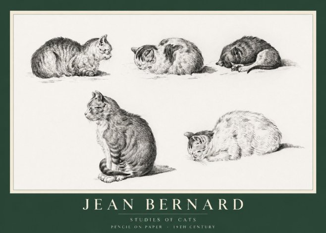 Jean Bernard Studies of Cats No1 - Póster