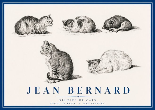 Jean Bernard Studies of Cats No3 - Póster