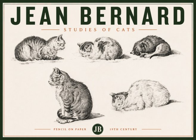 Jean Bernard Studies of Cats No4 - Póster