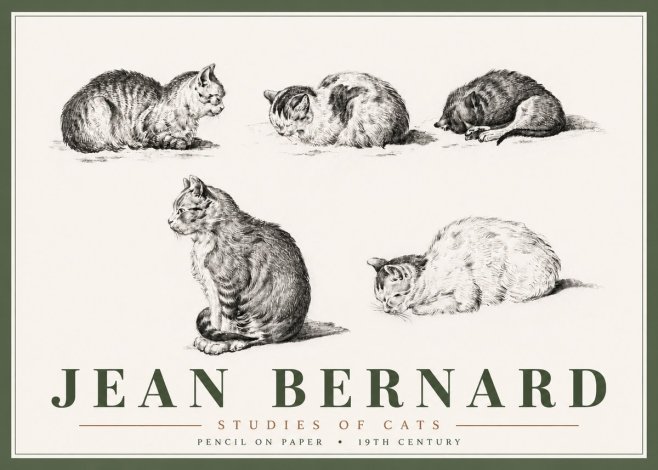 Jean Bernard Studies of Cats No6 - Póster