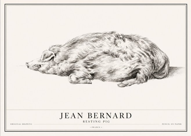 Jean Bernard Resting Pig II No1 - Póster
