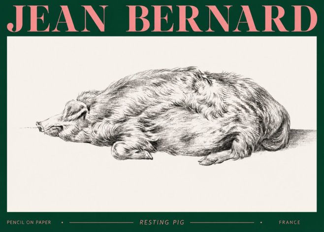Jean Bernard Resting Pig II No2 - Póster