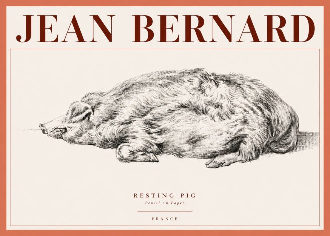 Jean Bernard Resting Pig II No4 - Póster