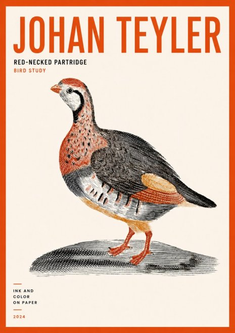Johan Teyler Red-necked Partridge No5 - Póster
