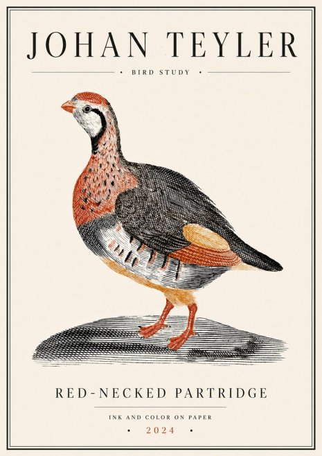Johan Teyler Red-necked Partridge No6 - Póster