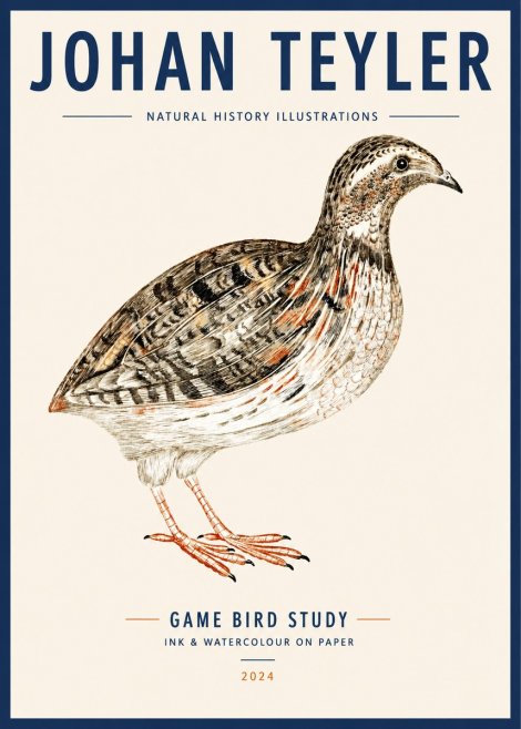 Johan Teyler Game Bird Study No3 - Póster