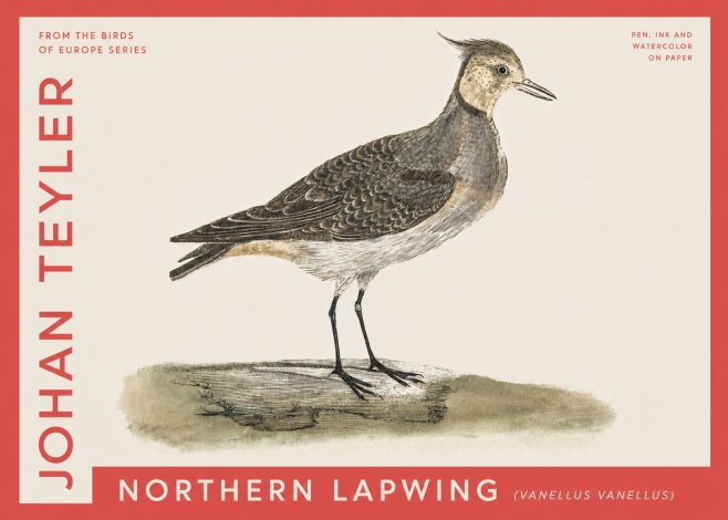 Johan Teyler Northern Lapwing (Vanellus Vanellus) No4 - Póster
