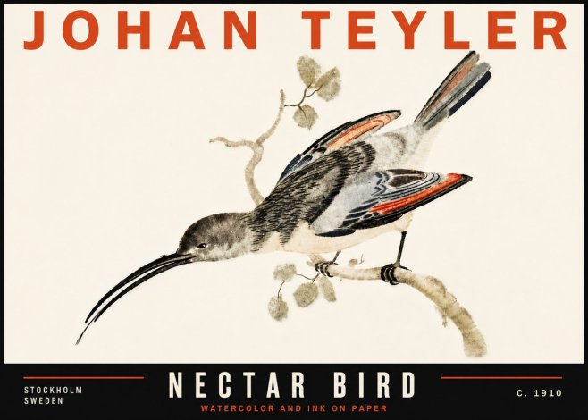 Johan Teyler Nectar Bird No6 - Póster