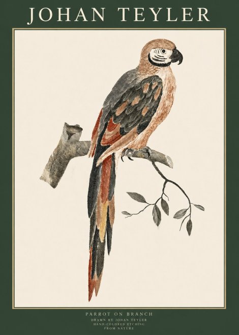 Johan Teyler Parrot on Branch No1 - Póster
