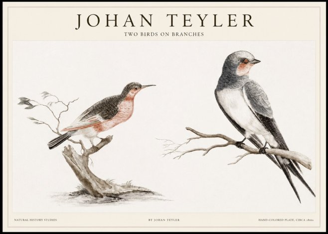 Johan Teyler Two Birds on Branches No1 - Póster