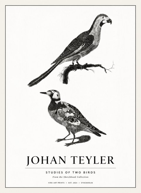 Johan Teyler Birds - Study of Two Species No3 - Póster
