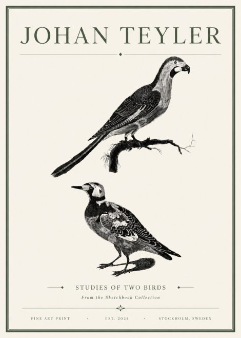 Johan Teyler Birds - Study of Two Species No6 - Póster