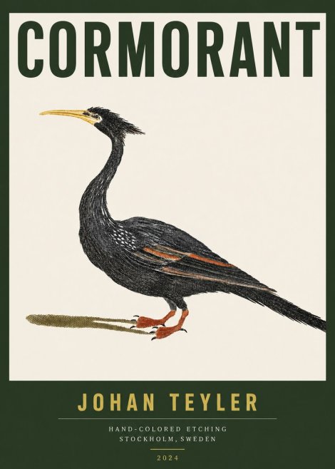 Johan Teyler Cormorant No3 - Póster