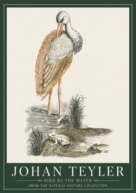 Johan Teyler Bird by the Water No3 - Póster