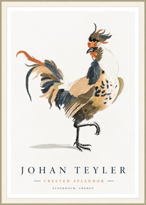 Johan Teyler Crested Splendor No1 - Póster