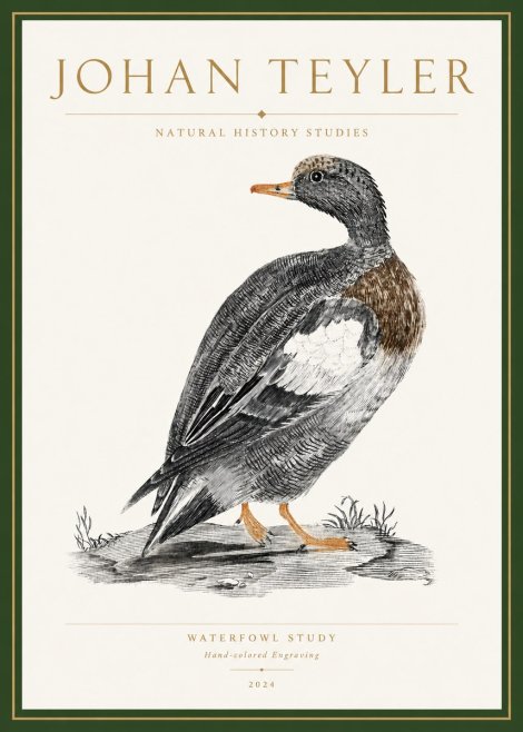 Johan Teyler Waterfowl Study No3 - Póster