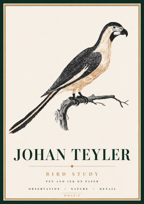 Johan Teyler Bird Study I No6 - Póster