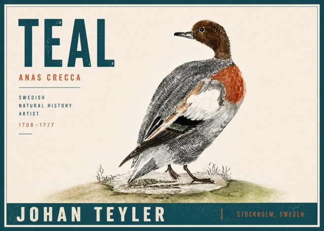 Johan Teyler Teal No5 - Póster